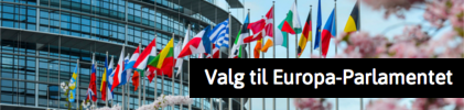 Valg til Europa-Parlamentet 2014