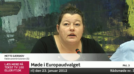 Se videooptagelsen fra mødet